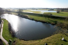 46_De-Bongerd-7-13.JPG